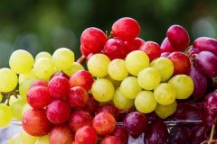 grapes-5889697_640